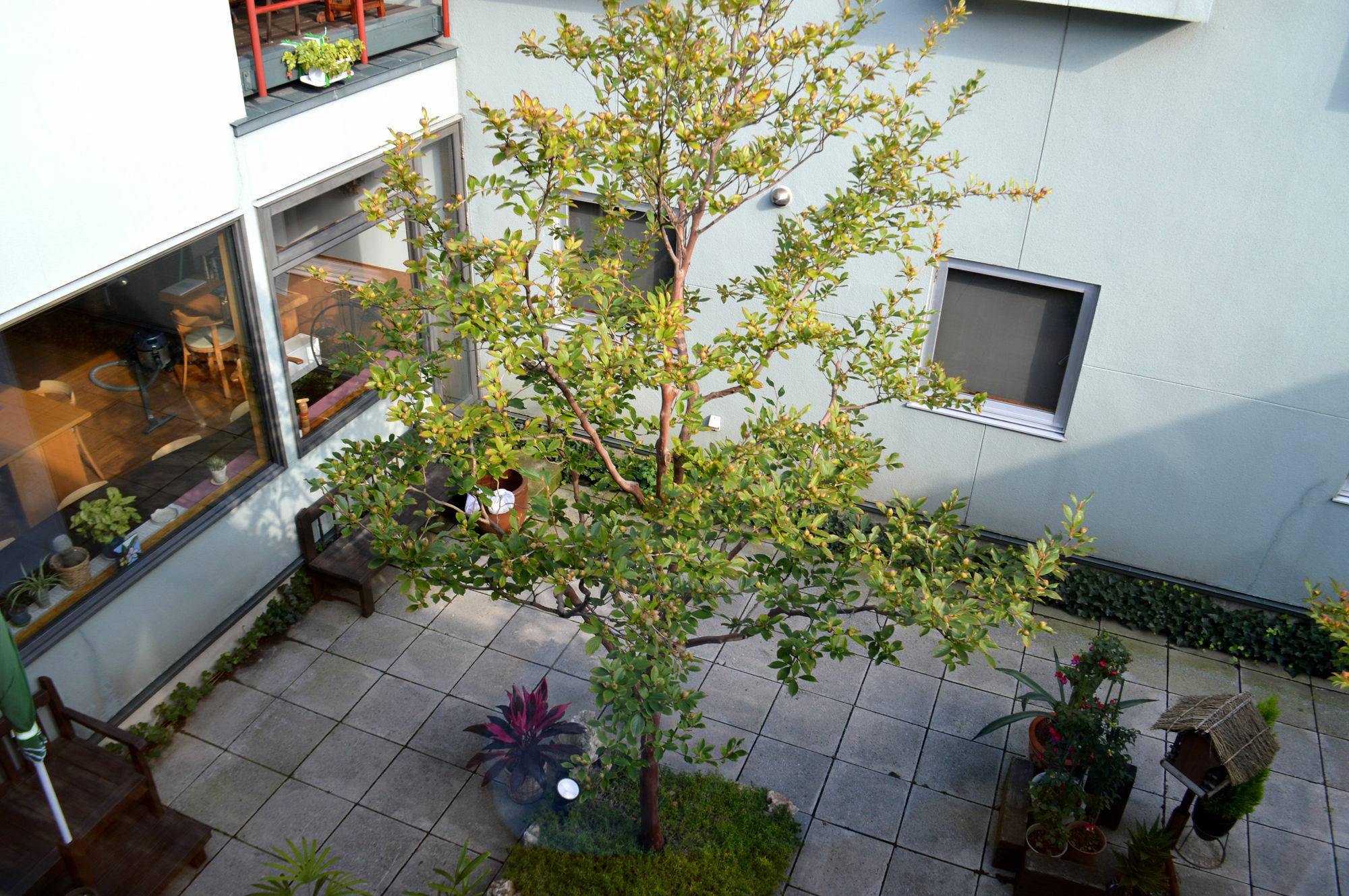 B&B Pension Hakodate-Mura Екстериор снимка